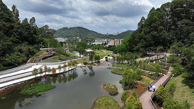 云南虎跳峡惊魂一刻：游客徒步失足坠崖事件纪实